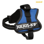 Julius-K9 silový postroj Mini-Mini/XS 40-53 cm/22 mm  – modrá