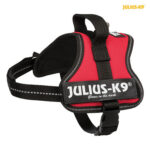 Julius-K9 silový postroj Mini-Mini/XS 40-53 cm/22 mm  – červená