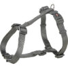 H-postroj PREMIUM – grafit