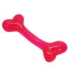 Akinu Funny Kost RT hračka pro psy L 19 cm