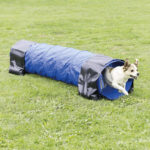 Agility tunel – malý pes, štěně, 40cm/2m – modrý