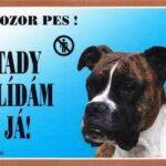 Barevná cedulka Pozor pes, Boxer německý