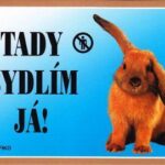Barevná cedulka Pozor pes, Králík