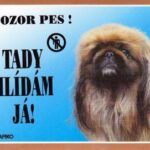 Barevná cedulka Pozor pes, Pekinéz